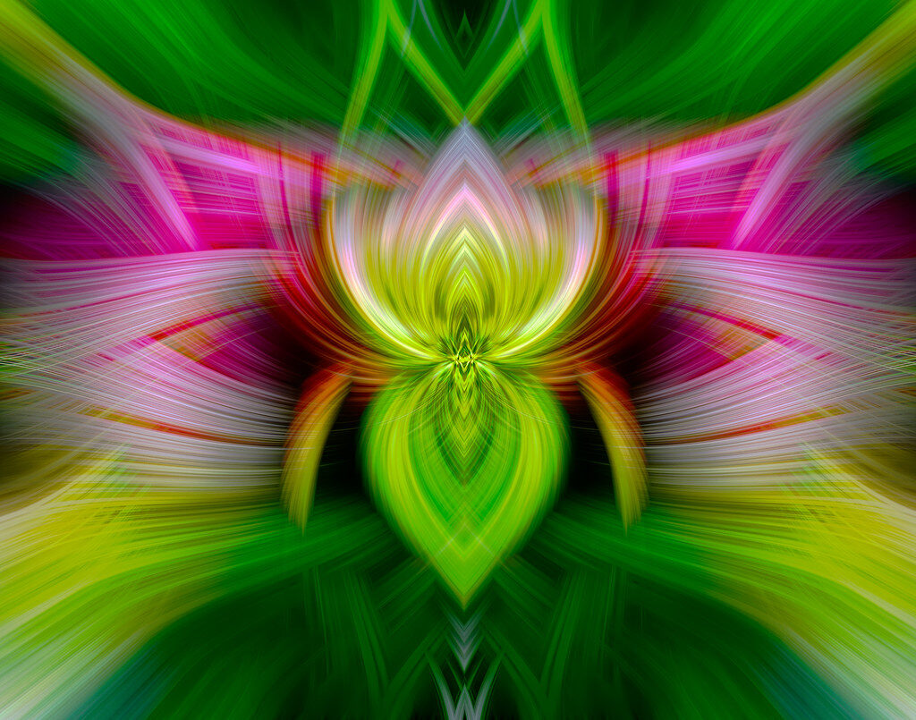 Spiritual Twirl Art #11 - 'Lotus Flower'